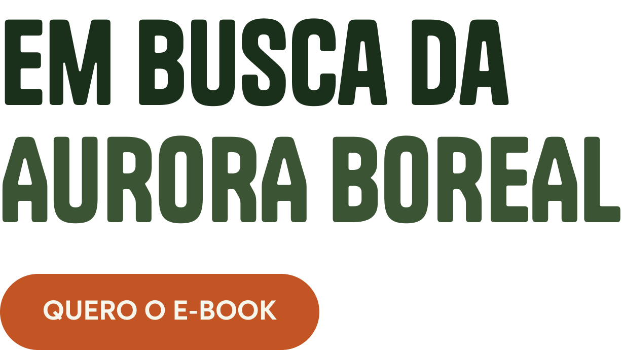 Em Busca da Aurora Boreal